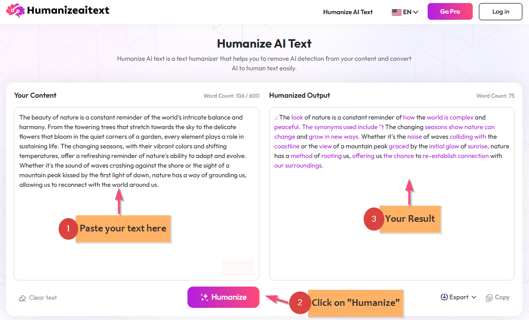 Humanizeaitext.co Review