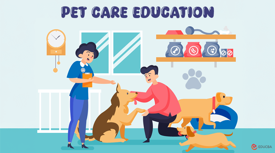 Pet Care Education