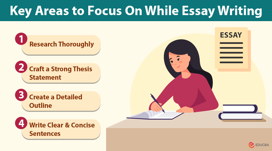 Key Areas to Focus On While Essay Writing