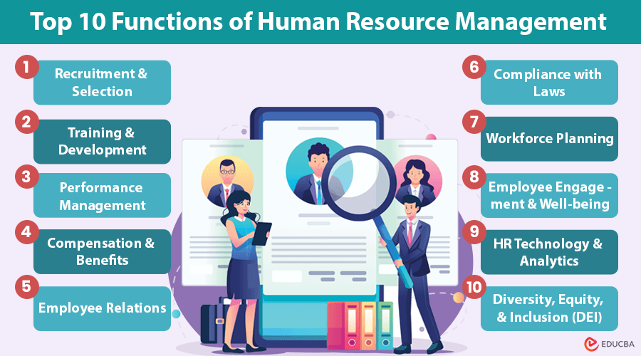 Essential Functions Of Human Resource Management EDUCBA Essential Functions Of Human Resource Management EDUCBA