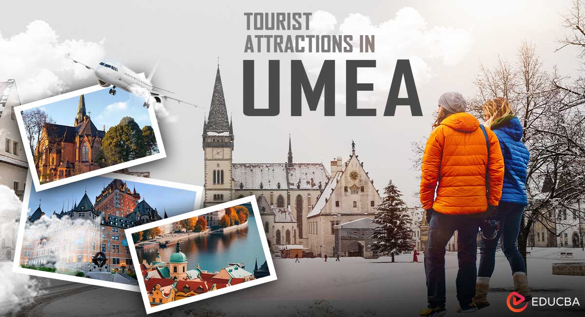 Tourist Attractions in Umea