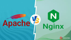 Apache vs Nginx: Which Web Server Should You Choose?