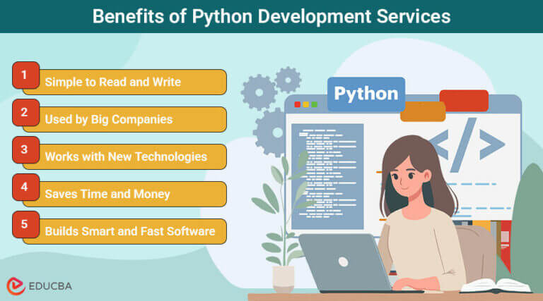How Python Development Services Shape Software Engineering?