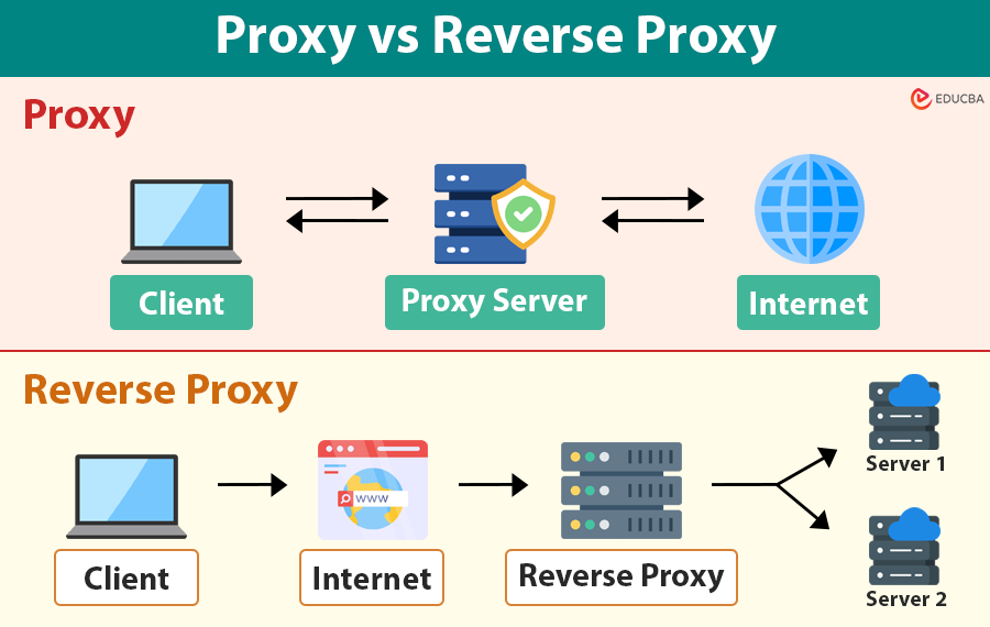 Proxy vs Reverse Proxy
