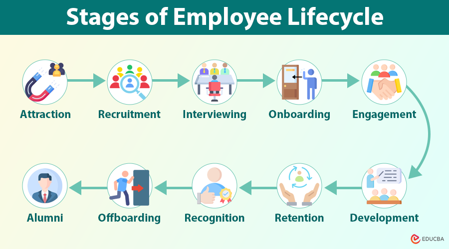 Employee Lifecycle