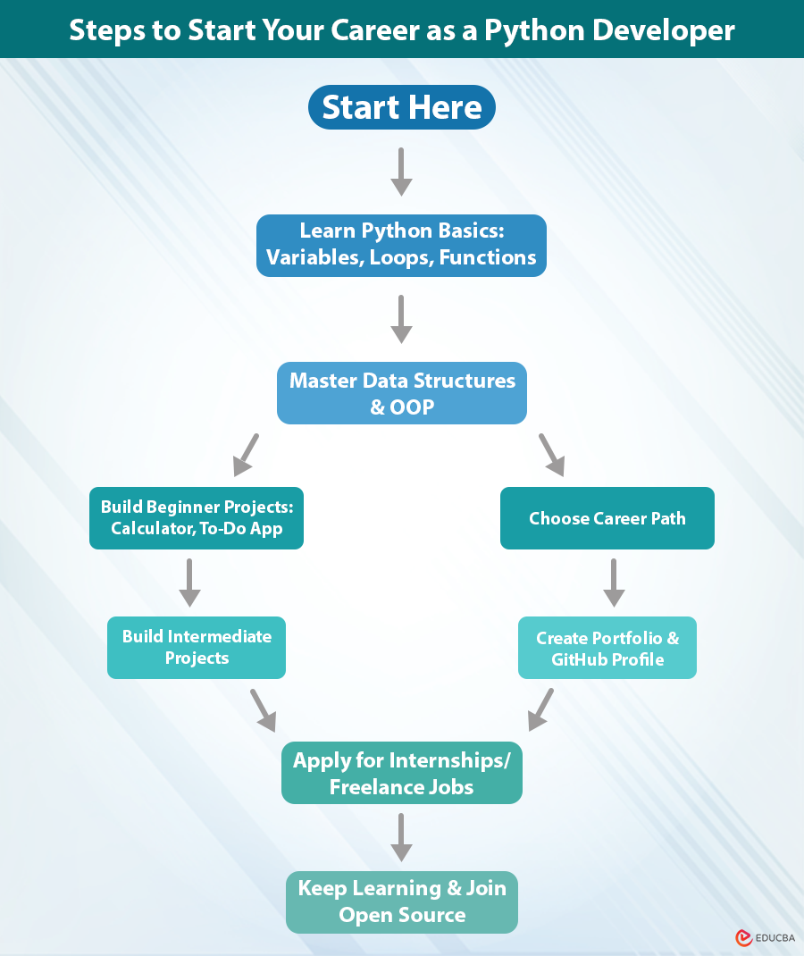 Steps to Start Your Career as a Python Developer