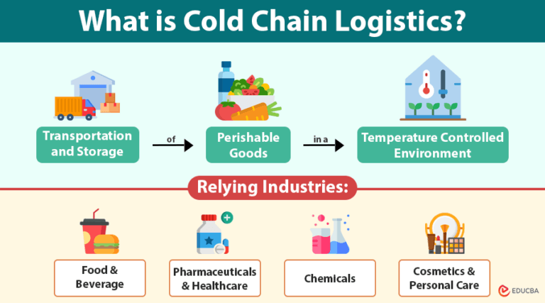 Cold Chain Logistics | Meaning, Key Industries & Real Examples