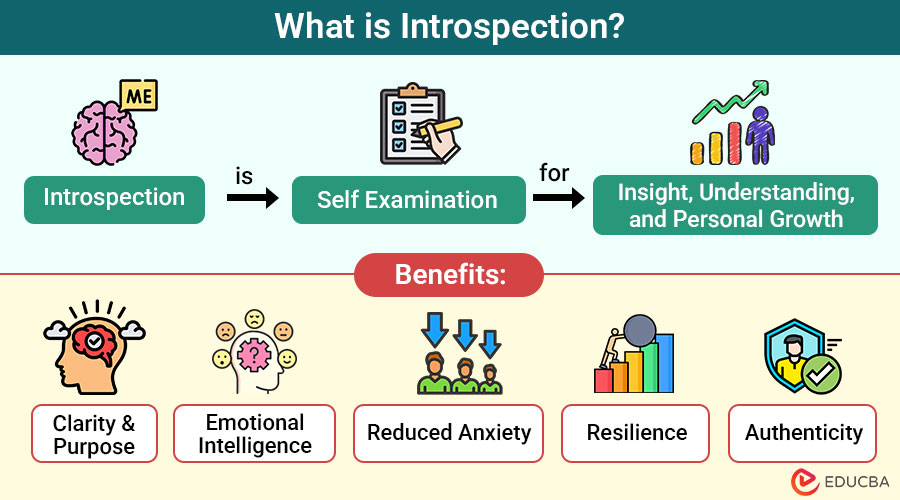 What-is-Introspection
