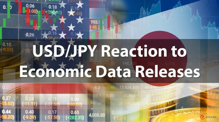 ECONOMIC DATA RELEASES visual data 6