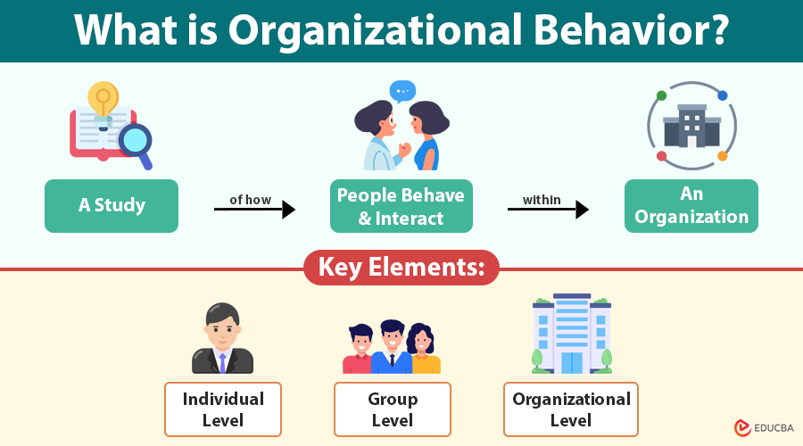 Organizational Behavior