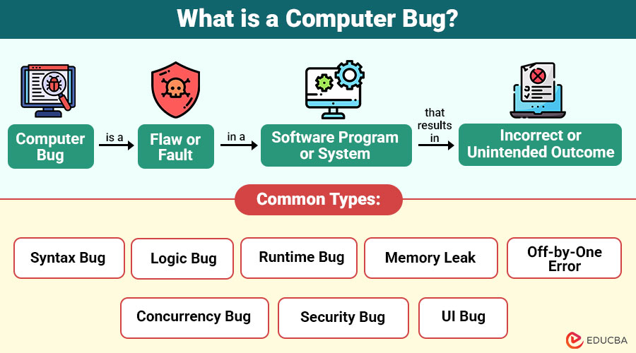 What-is-a-Computer-Bug