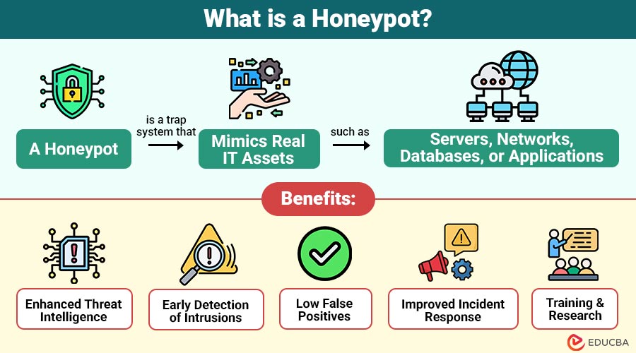 What-is-a-Honeypot