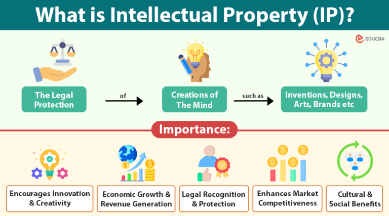 Intellectual Property | Types, Importance, Law & Protection