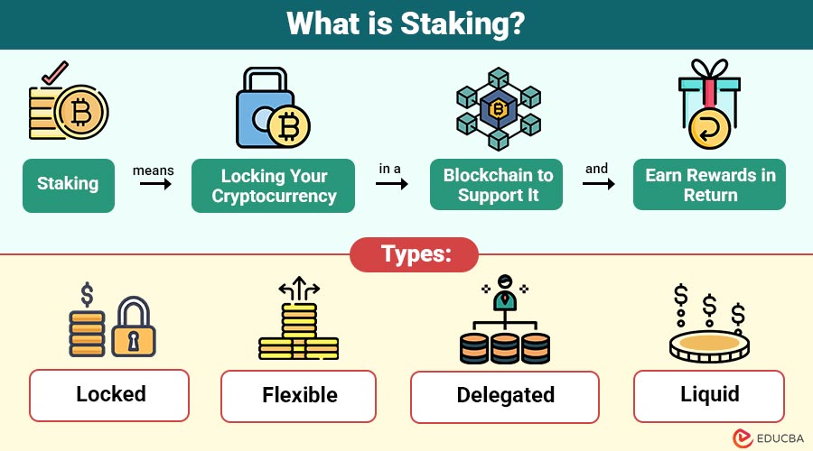 What-is-Staking