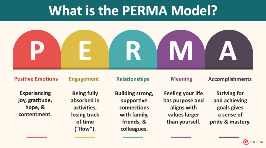 PERMA Model