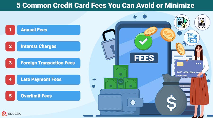 Credit Card Fees