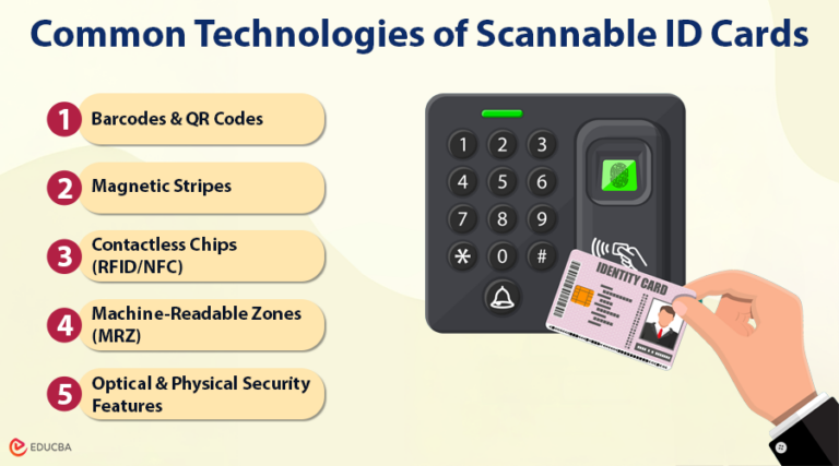 Where to Get Scannable ID Cards | Safe & Legitimate Options