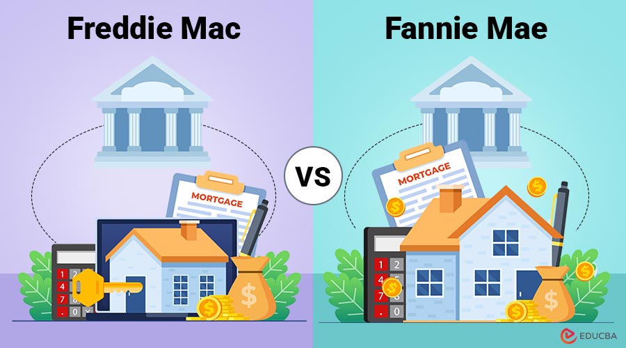 Freddie Mac vs Fannie Mae