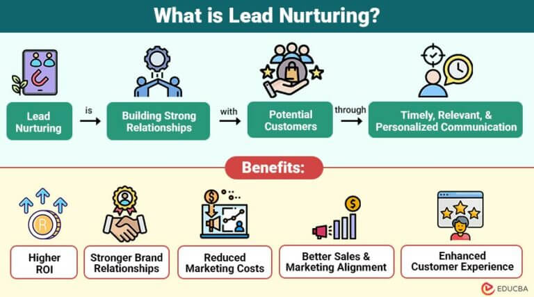 Lead Nurturing | Importance, Process, Strategies