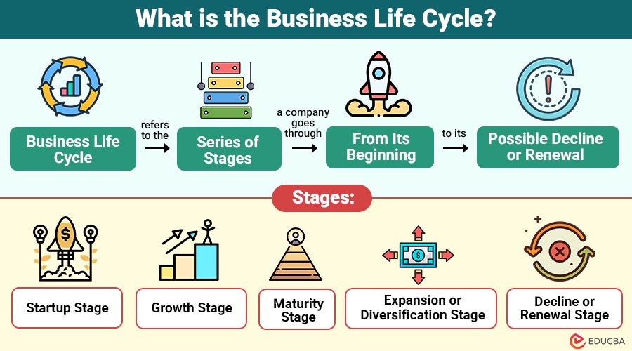 Business Life Cycle