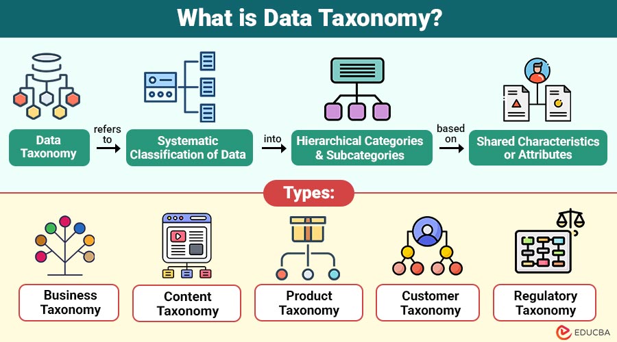 What-is-Data-Taxonomy