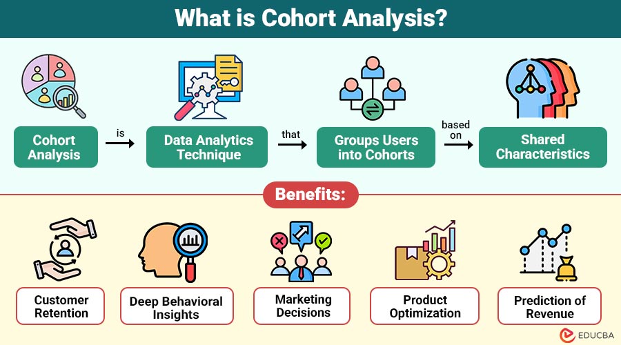 What-is-Cohort-Analysis