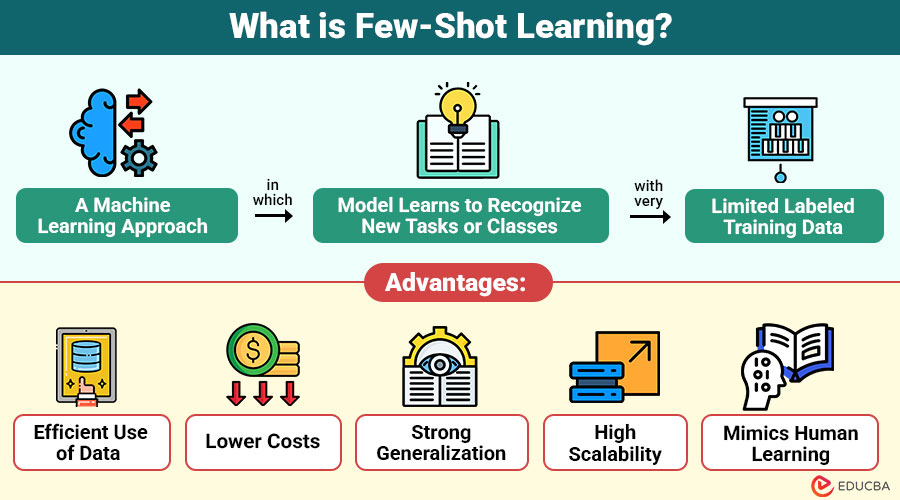 What-is-Few-Shot-Learning