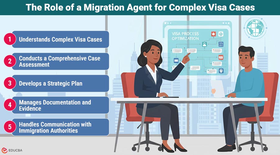 Migration Agent for Complex Visa Cases