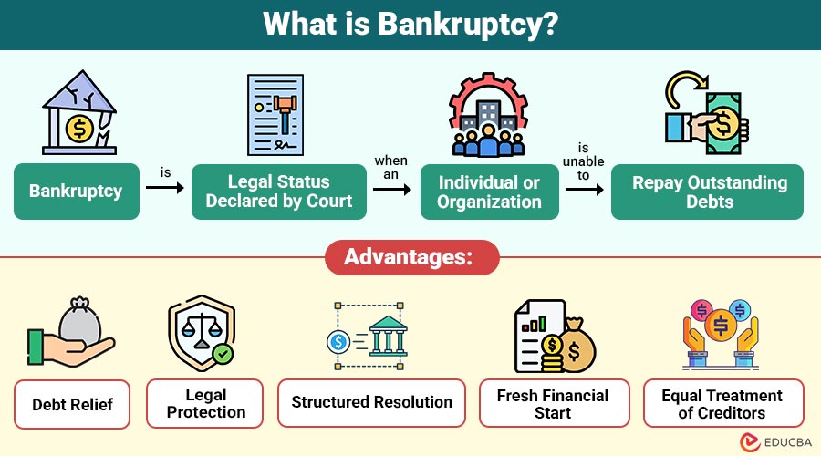 What-is-Bankruptcy