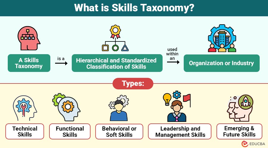 What-is-Skills-Taxonomy