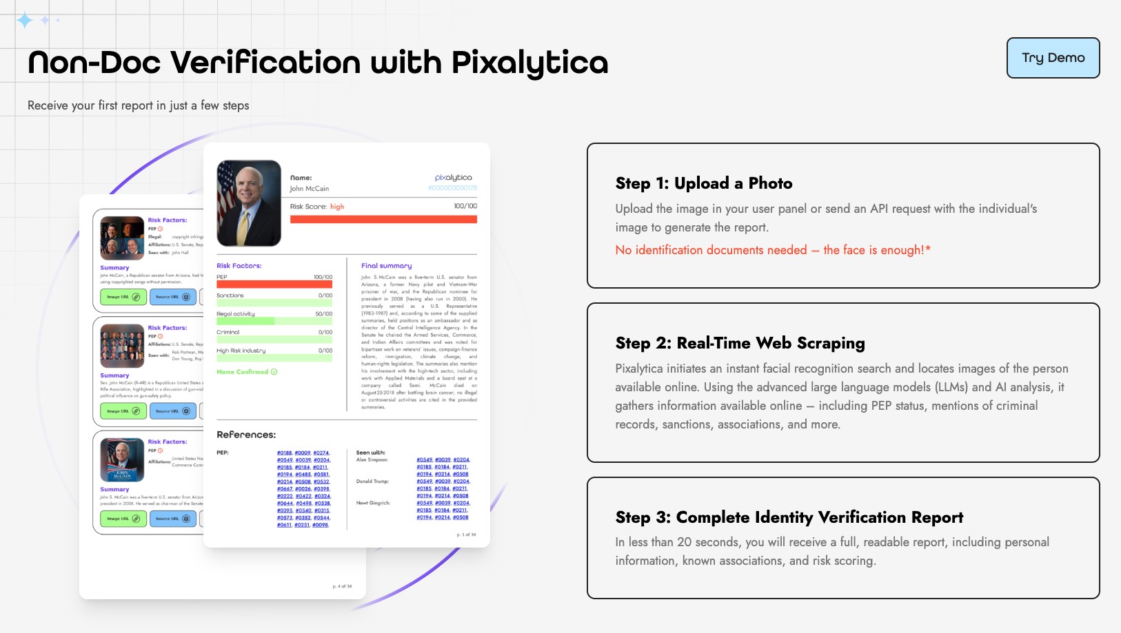 What Information Does a Pixalytica Report Contain?