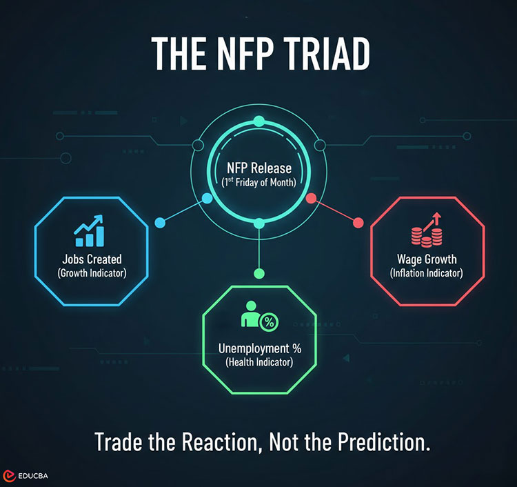 Key Metrics for Successful NFP Trading