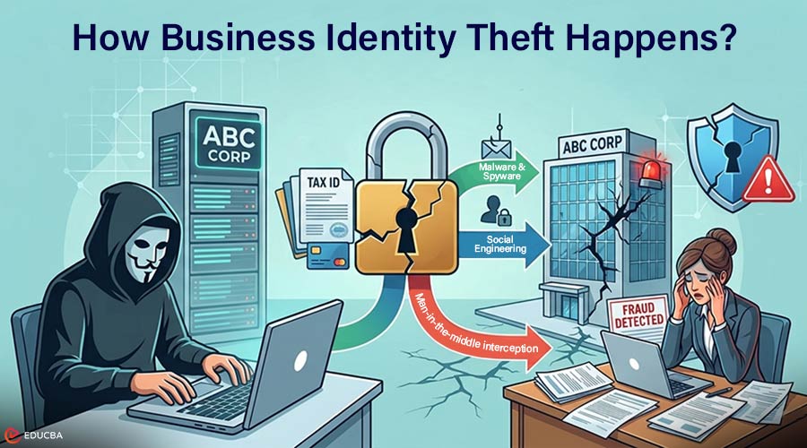 Business Identity Theft