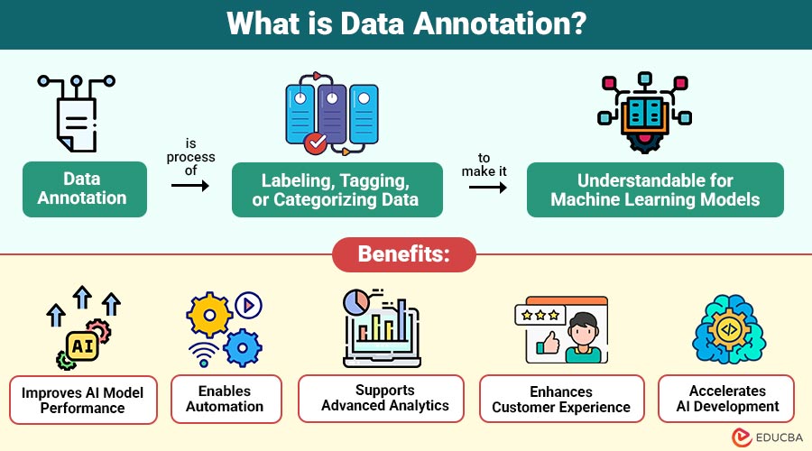 What-is-Data-Annotation