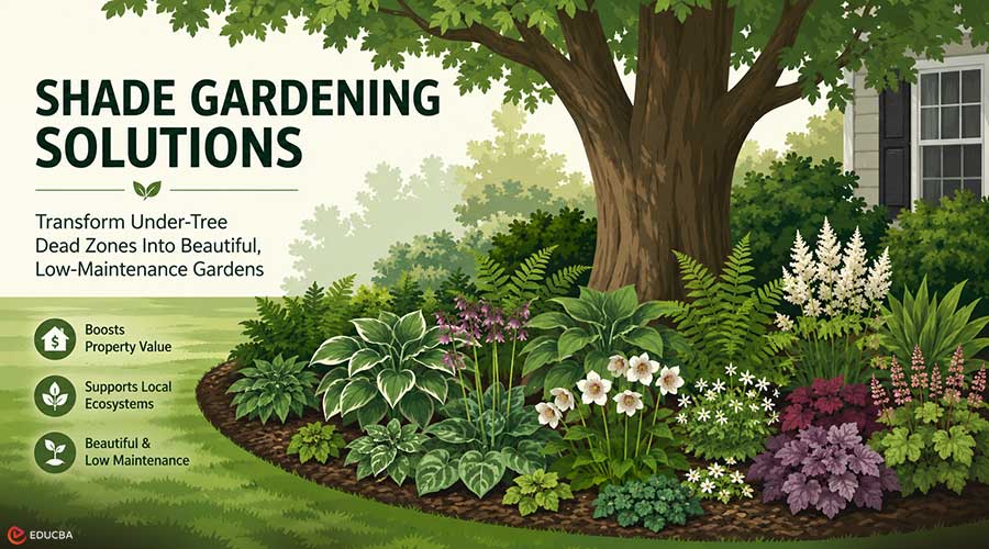 Shade Gardening Solutions