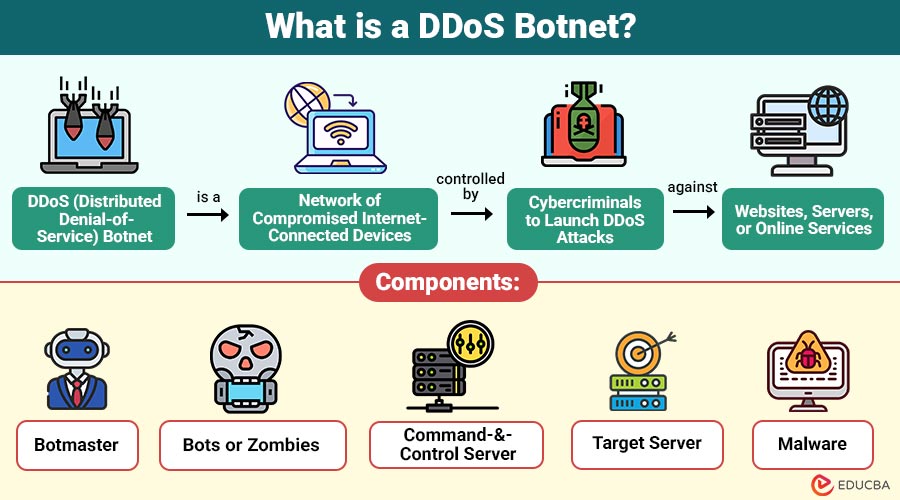 What-is-a-DDoS-Botnet (1)