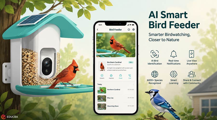 AI Smart Bird Feeder