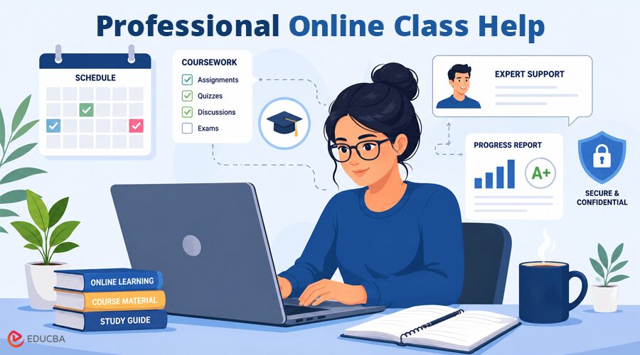 Professional Online Class Help