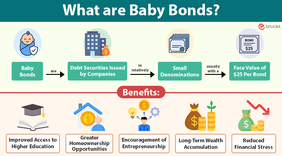 What are Baby Bonds