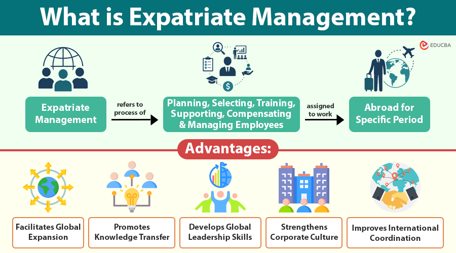 What is Expatriate Management