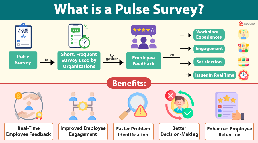 What is a Pulse Survey