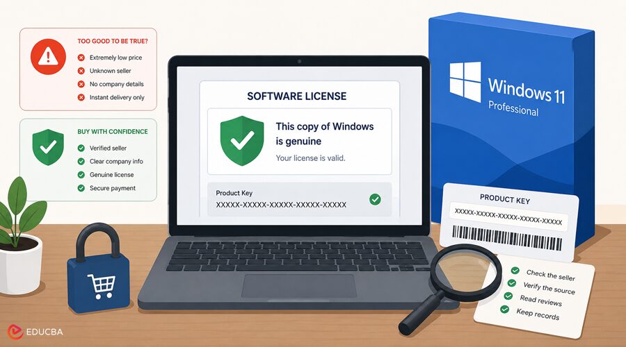 Cheap Software License