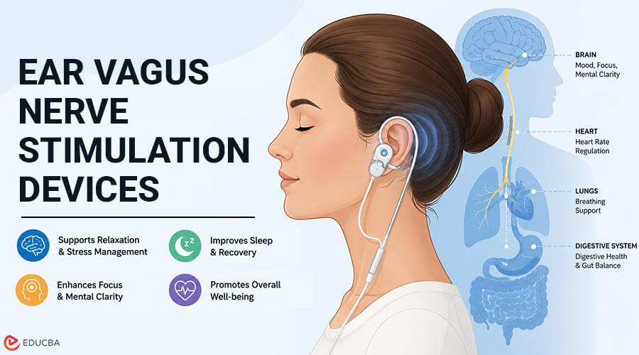 Ear Vagus Nerve Stimulation Device