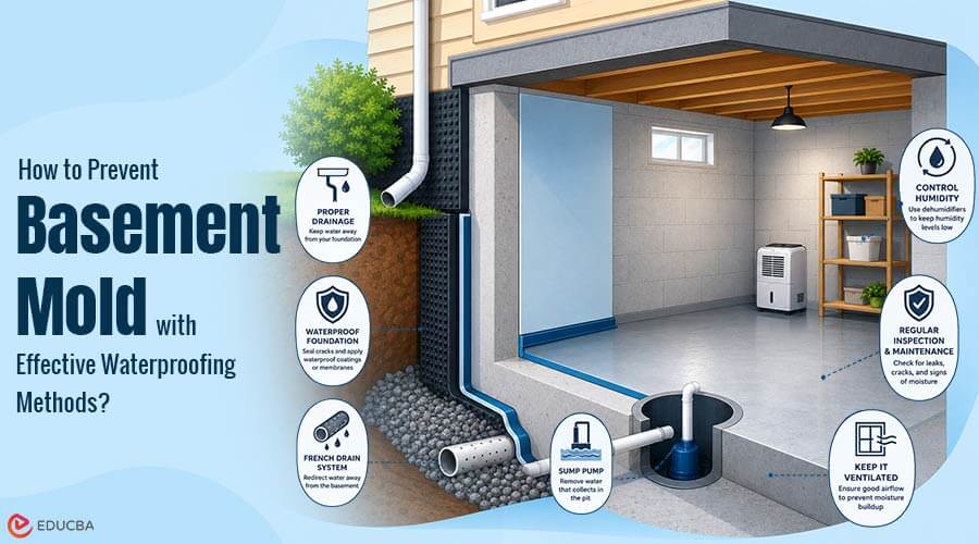 Basement mold