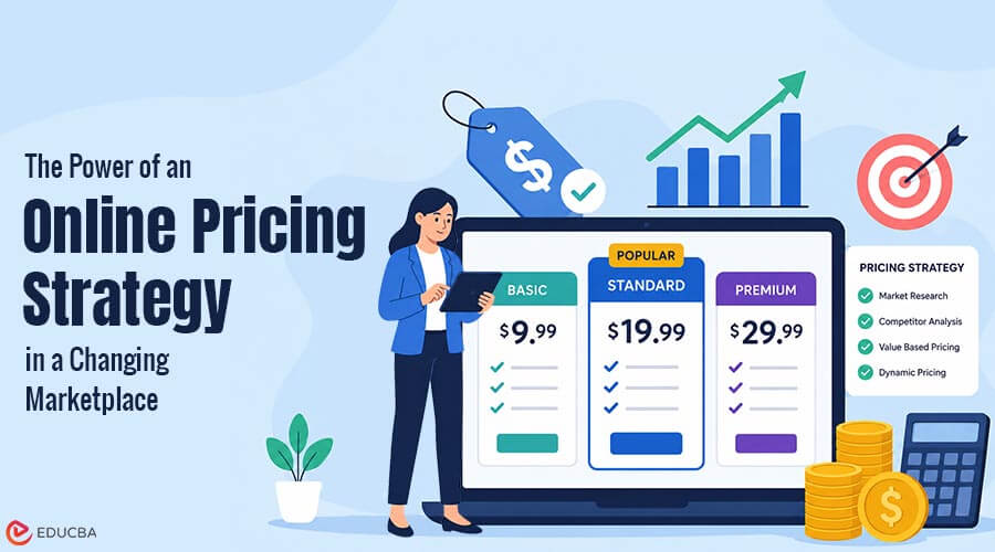 Online Pricing Strategy