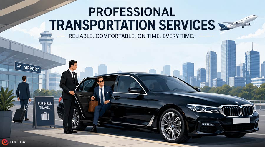 Professional Transportation Services