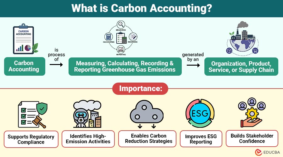 What-is-Carbon-Accounting