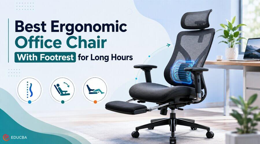 Ergonomic Office Chair