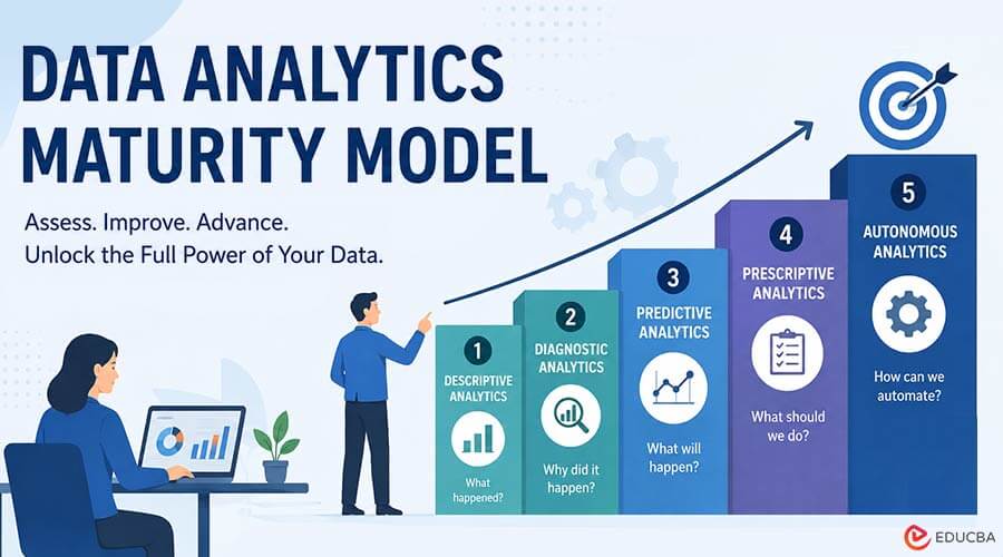 Data Analytics Maturity Model