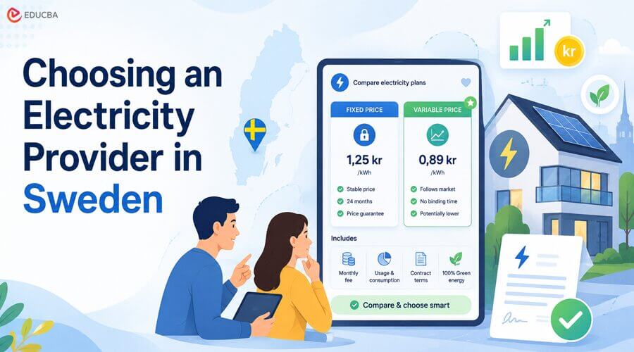Choosing an Electricity Provider in Sweden
